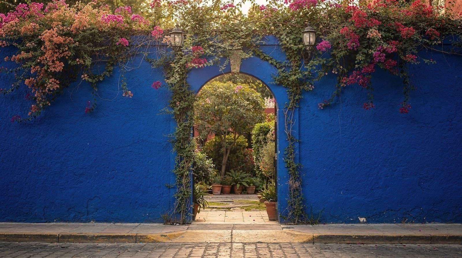Guide du Musée Frida Kahlo : tout ce que vous devez savoir — Guide du Musée Frida Kahlo (Casa Azul) : billets (500 MXN), horaires d'ouverture