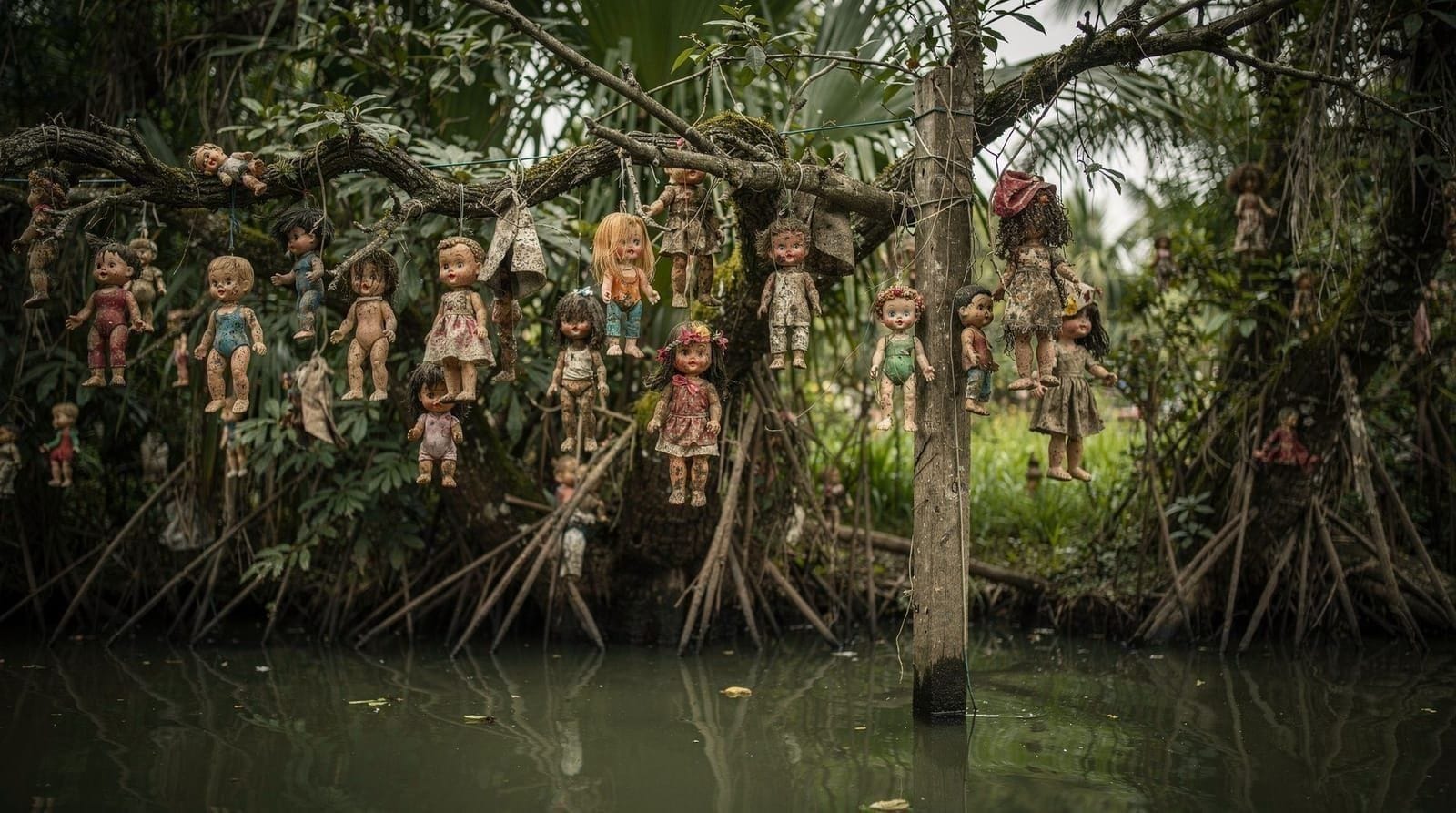Guide de l'Île des Poupées : ce que c'est, comment y accéder et à quoi s'attendre — L'Île des Poupées (Isla de las Muñecas) à Xochimilco : l'histoire de Don Julián,